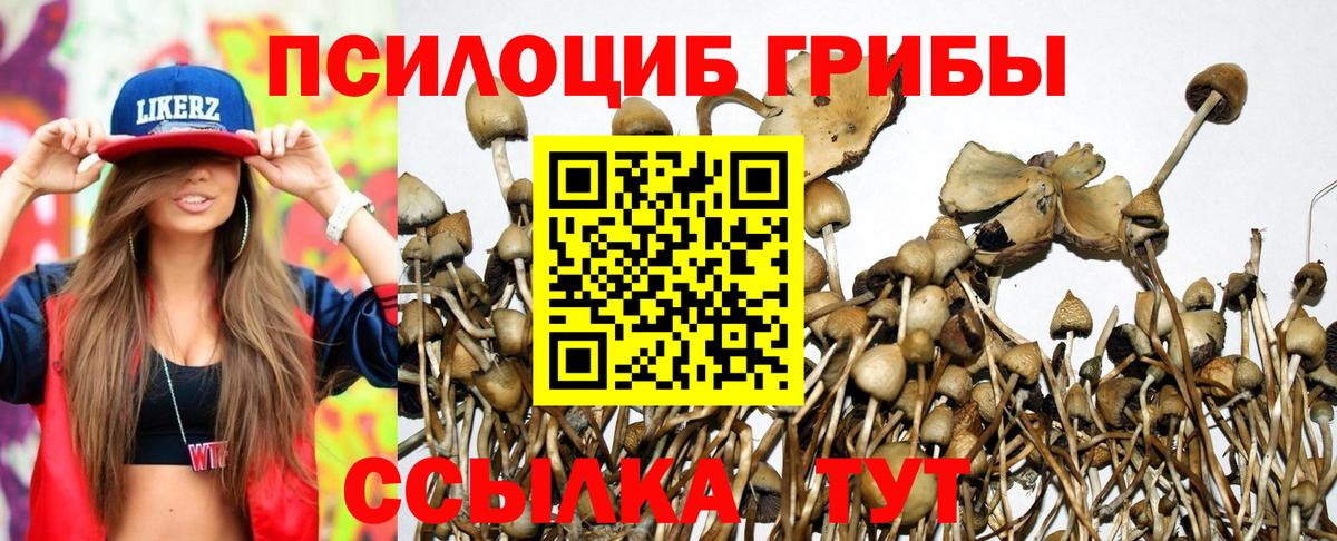 Галлюциногенные грибы ЛСД  Вход с VPN  Минусинск 
